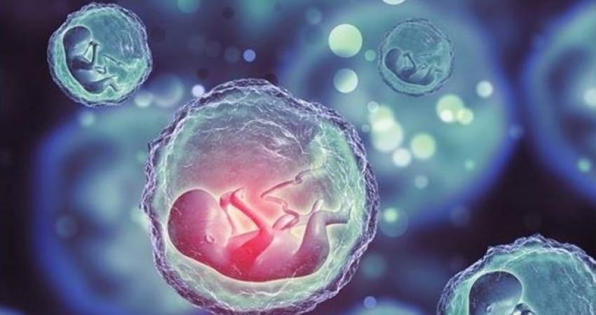 المولودون من أجنة مجمدة أكثر عرضة للإصابة بالسرطان
