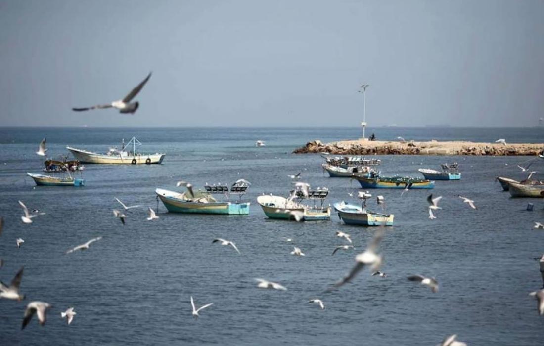 حالة الطقس: انخفاض على درجات الحرارة حتى نهاية الأسبوع

