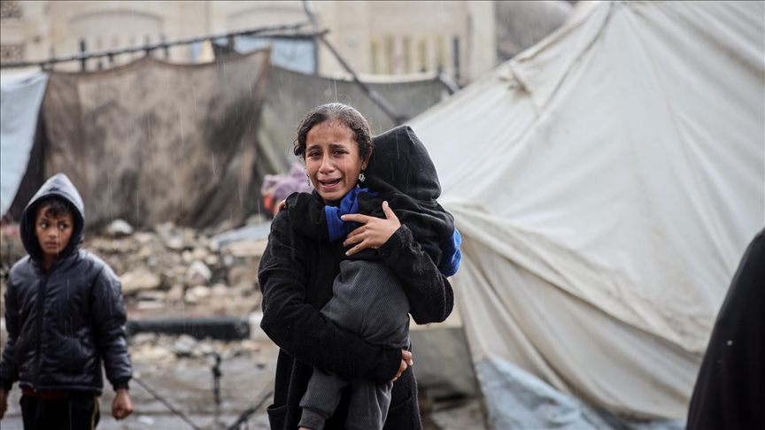أبو هولي: المرأة الفلسطينية تواجه جرائم وتحديات وجودية غير مسبوقة
