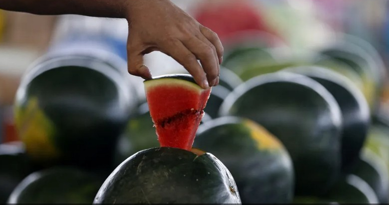 خلافا للاعتقاد الشائع.. علماء يكشفون أسرار بذور البطيخ
