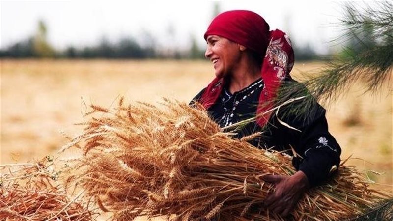 "تمكين المرأة الريفية".. كيف تحولت السيدات المعيلات إلى نساء ناجحات؟
