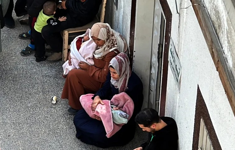 أمهات غزة على حافة الانهيار: لا حليب ولا غذاء… والرضع في حضن الجوع
