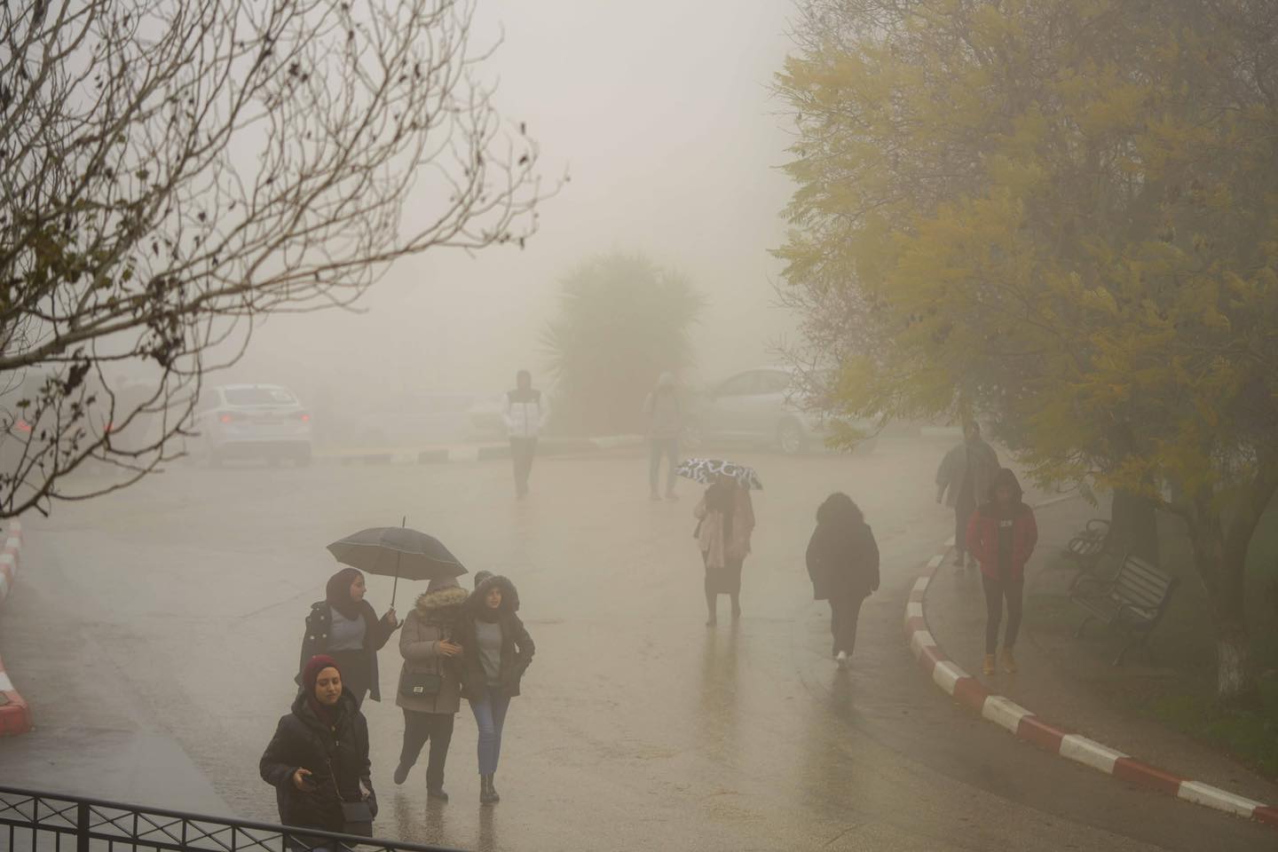 حالة الطقس: أمطار غزيرة مصحوبة بعواصف رعدية
