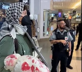 الاحتجاجات ضد إسرائيل تستمر دولياً رغم وقف إطلاق النار

