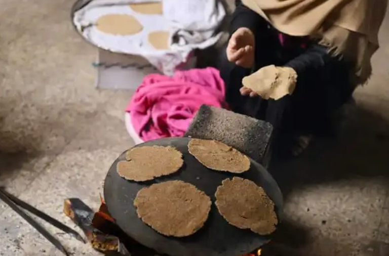 الأعشاب البرية وسيلة لسد الجوع.. وضع "كارثي" في مناطق شمال غزة
