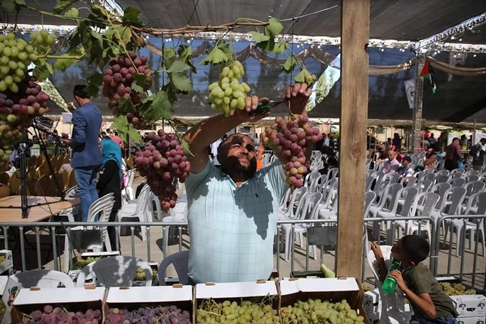 افتتاح مهرجان العنب الفلسطيني الثامن 2019
