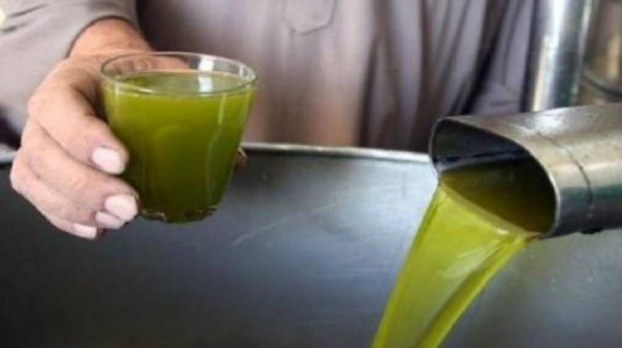 بلدية سلفيت تقرر شراء عشرة أطنان من زيت الزيتون دعما للمزارعين
