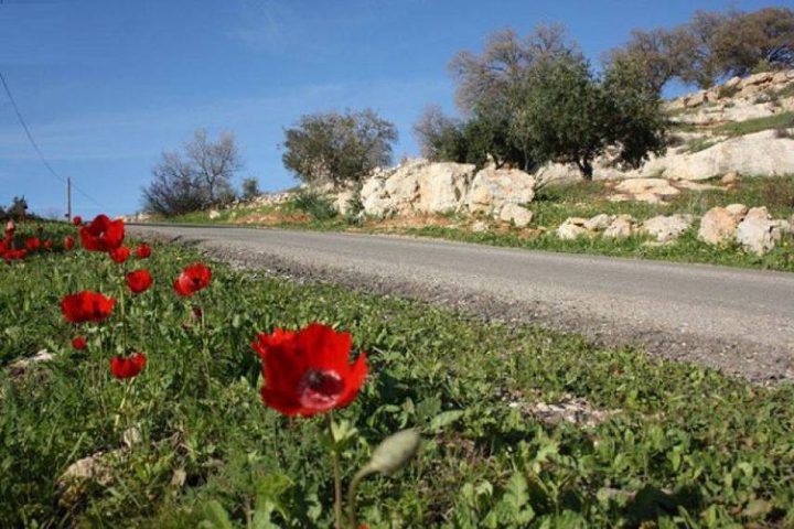 حالة الطقس: ارتفاع على درجات الحرارة والفرصة ضعيفة لسقوط أمطار
