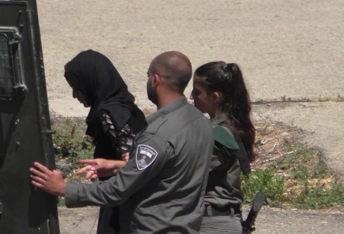 الاحتلال يعتقل 29 مواطنا بينهم فتاة وثلاثة أطفال من الضفة
