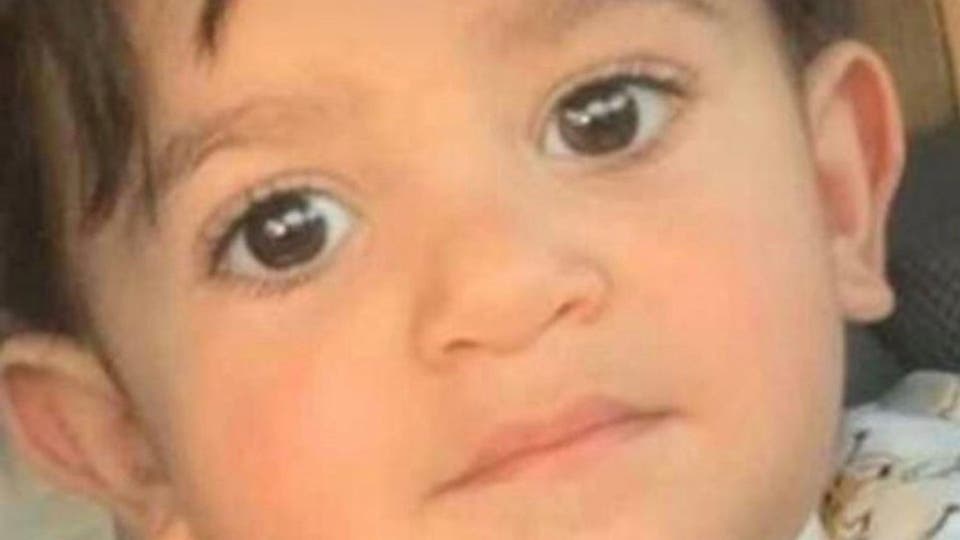 السعودية.. كلاب ضالة تنهش طفلاً حتى الموت
