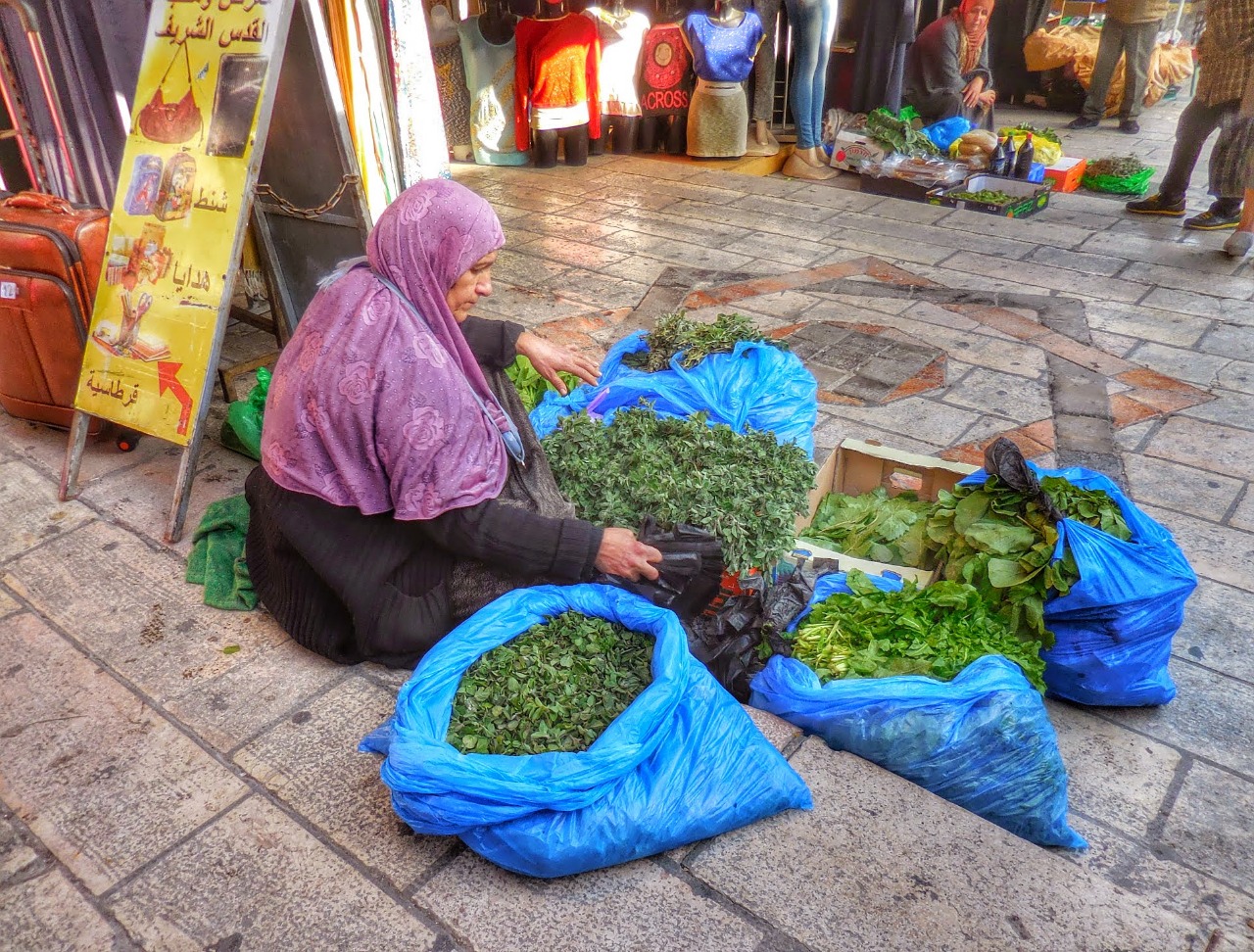 الفلاحات.. قصصٌ وحكاياتٌ تعبق بالجدّ والكدّ والتحديات
