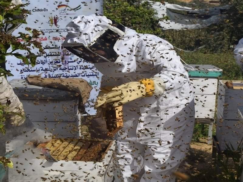 سمر تقاوم الاحتلال بتربية النحل
