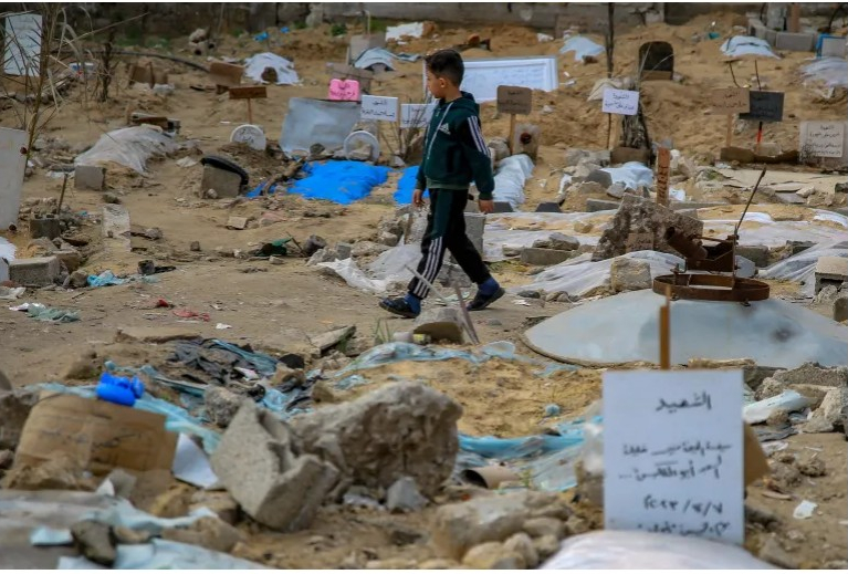 موقع بريطاني: في غزة أطفال ينامون في أقفاص الدجاج