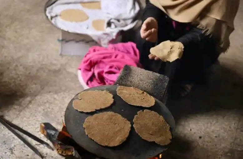 شمال غزة يجوع.. طعام الحيوانات يصبح غذاء للغزيين
