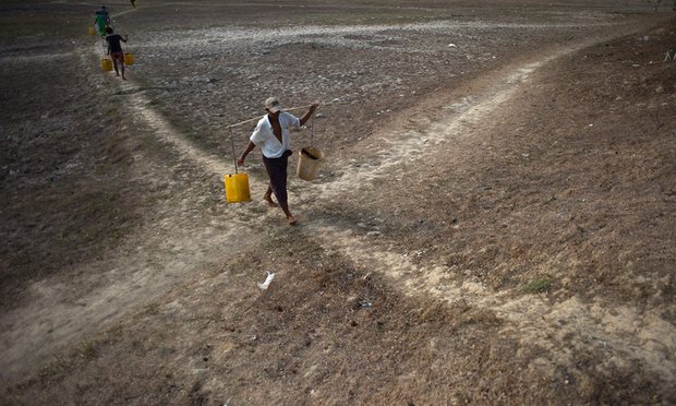 World's hottest month shows challenges global warming will bring 