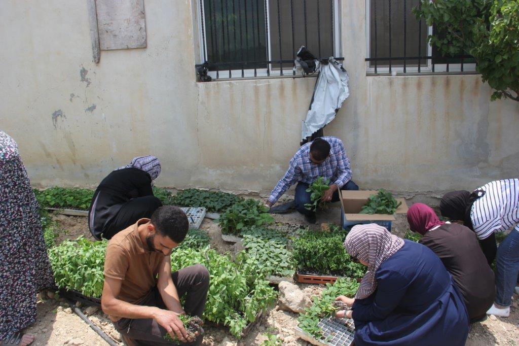العمل الزراعي يختتم مشروع إنشاء حدائق منزلية في الخليل
