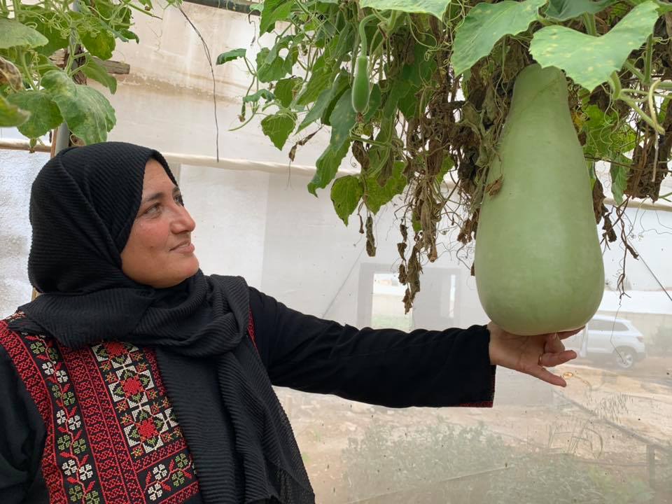  "منظمة كير"..تصنع قصص نجاح لسيدات في الأراضي الفلسطينية (تسجيل صوتي) !

