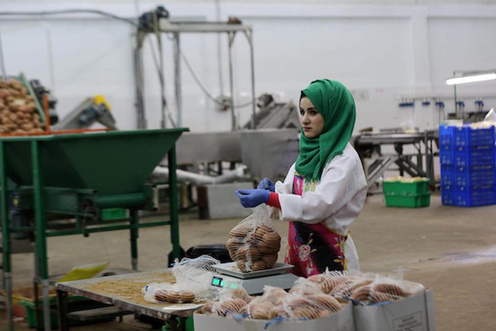 وزير الاقتصاد: ملتزمون بزيادة مشاركة المرأة في سوق العمل وتمكينها اقتصاديا
