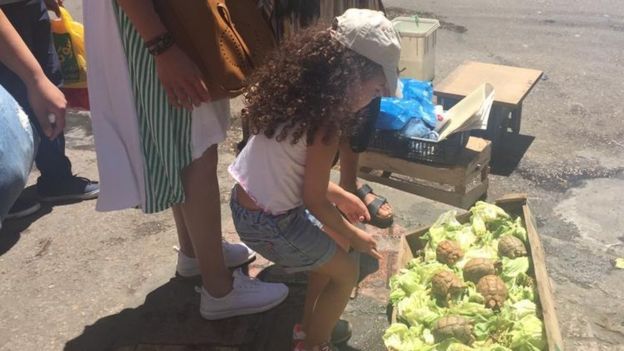 كفالة الطفل في مصر: طريق صعب للمرأة غير المتزوجة لتصبح أما
