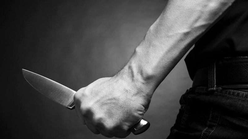 مقتل مواطنة متأثرة بجراح أصيبت بها نتيجة طعنها في جنين(صوت)
