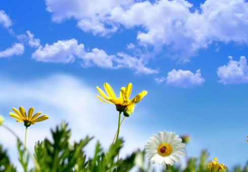 انحسار درجات الحرارة اعتبارا من اليوم