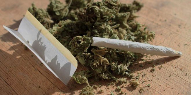 أول دولة تبيع الحشيش في الصيدليات 