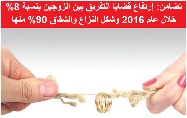 تضامن : ارتفاع قضايا التفريق بين الزوجين بنسبة 8% خلال عام 2016 وشكل النزاع والشقاق 90% منها
