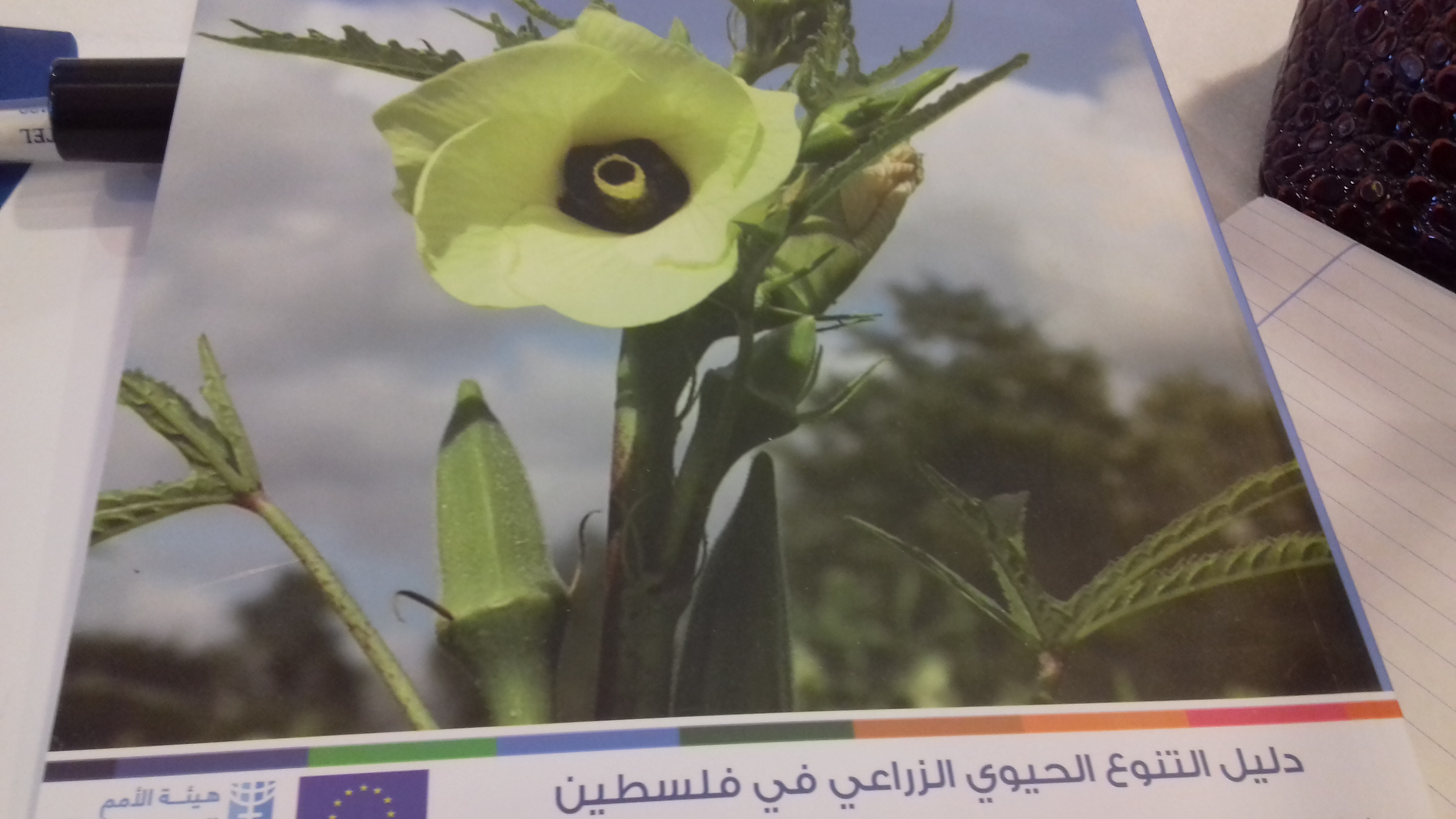 إطلاق دليل التنوع الحيوي الزراعي الأول في فلسطين لدعم المزارعات اقتصادياً

