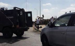 رغم المشقة.. جزائريات يبعن البابونغ والزعتر لمساعدة عائلاتهن
