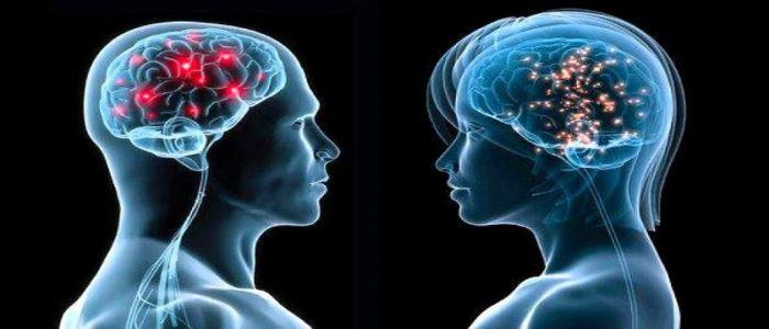 5  فروقات في تحليل دماغ المرأة والرجل.. تعرفوا عليها!