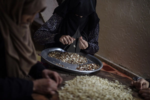 ضبط 10 أطنان فستق منتهي الصلاحية في الخليل