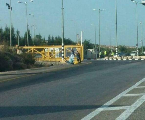 إصابة طالبة برصاص اللاحتلال بذريعة محاولة الطعن في قلقيلية