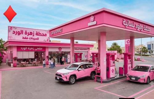 دعوات لمحطات وقود للنساء.. لماذا ظهرت الآن؟ أزمة المحروقات تفتح جدل المساواة والخصوصية !