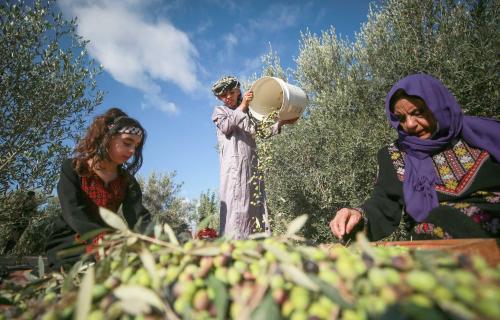 سمير سمارة لـ"نساء إف إم":  حملة زيتون 2026" تهدف لتمكين المزارعين من الوصول إلى أراضيهم وقطف محاصيلهم