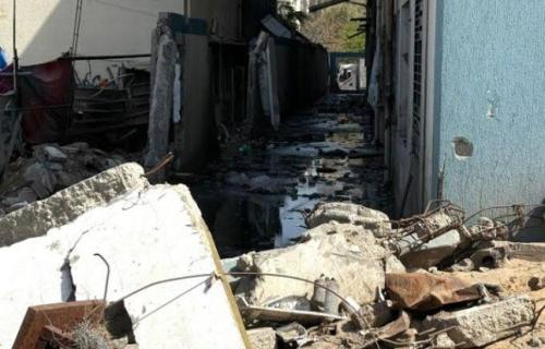 من بينها الصدمات الصوتية.. خبير بيئي  يوضح أسباب  هروب  القوارض الى المناطق المجاورة لغزة
