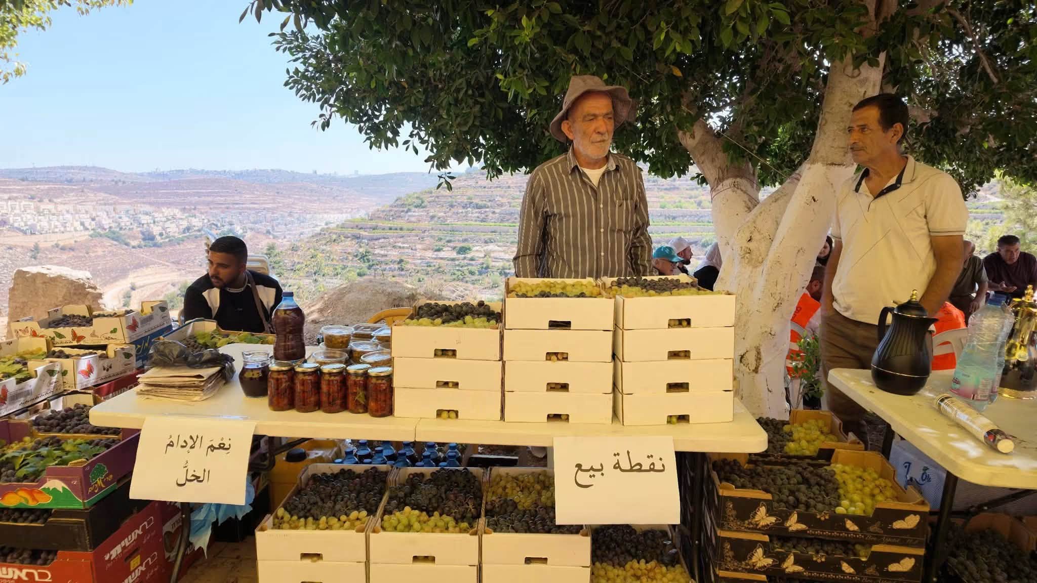 سوق العنب في بيت دقو.. موسم للرزق ومساحة لتعزيز صمود المزارع الفلسطيني