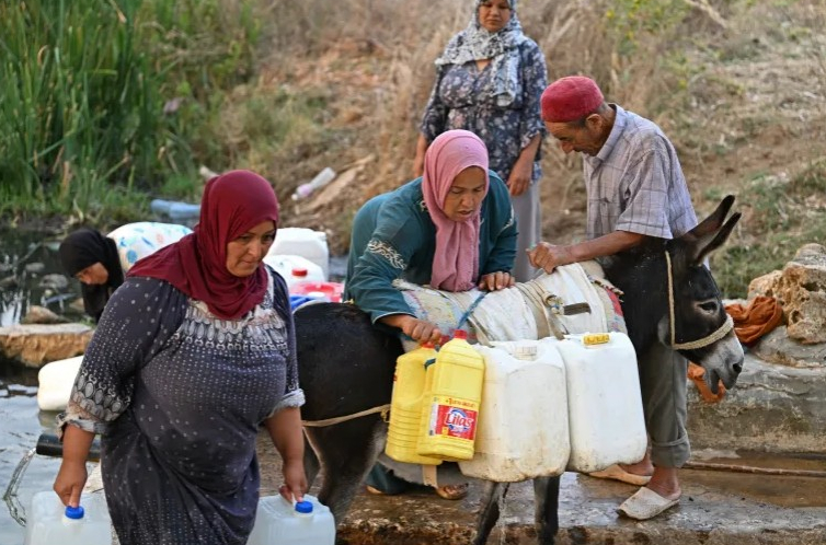حقوق المرأة في تونس.. هل تخفي "نسوية الدولة" واقعا مختلفا؟