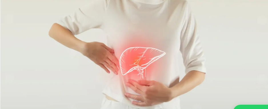 د. نزيه نخلة لنساء إف إم: أمراض الكبد قد تتطور بصمت.. احذرن أدوية ومكملات إنقاص الوزن
